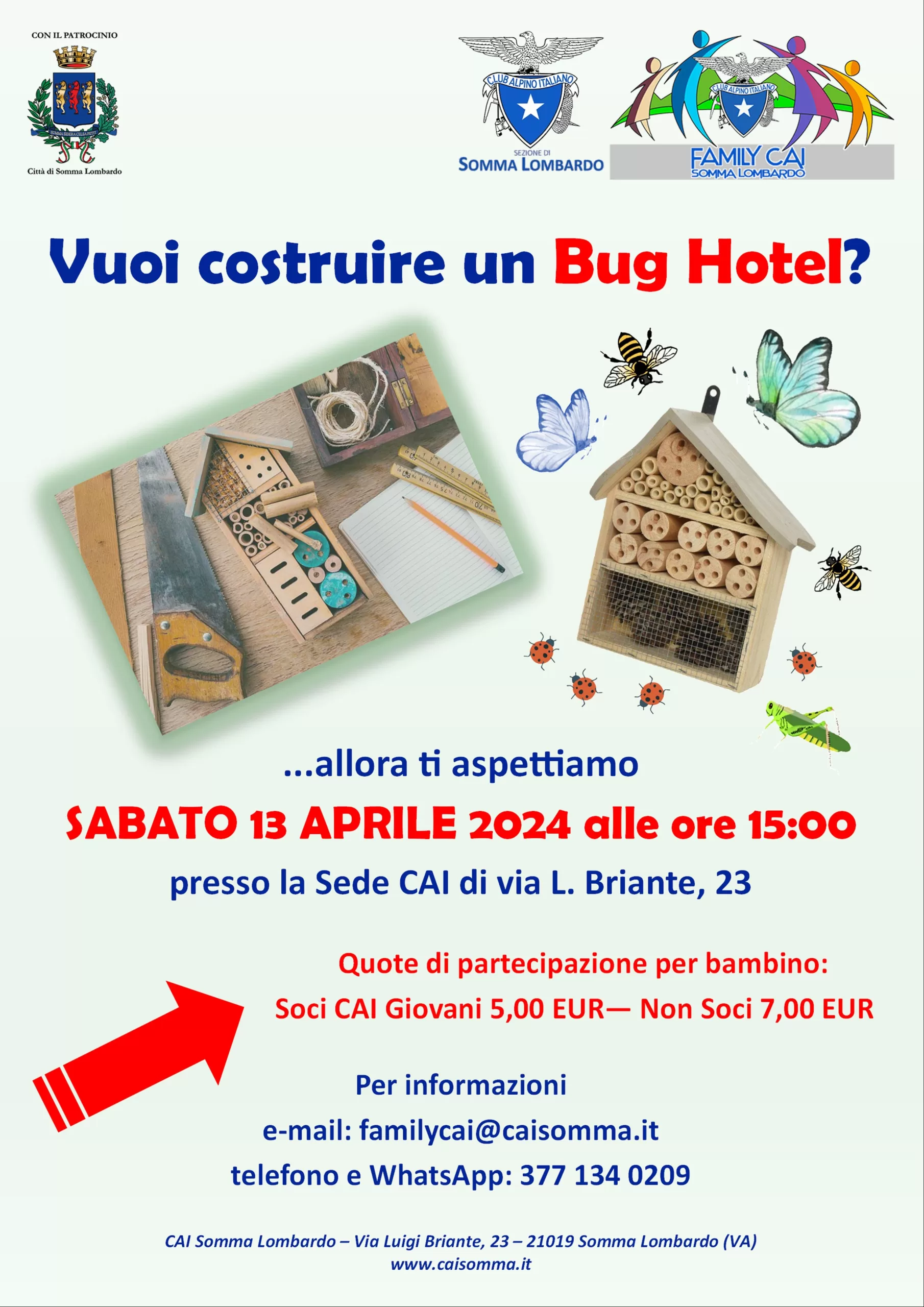 Vuoi costruire un bug hotel?
