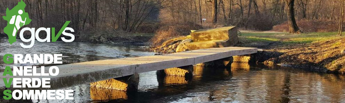 Foce Torrente Strona